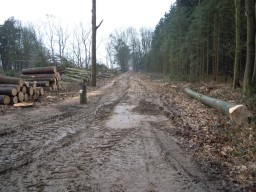 Laan omvorming