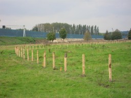 Landschapsinrichting
